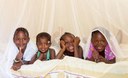 Invest in the Future: Strengthen Malaria Programs with Gender Data 