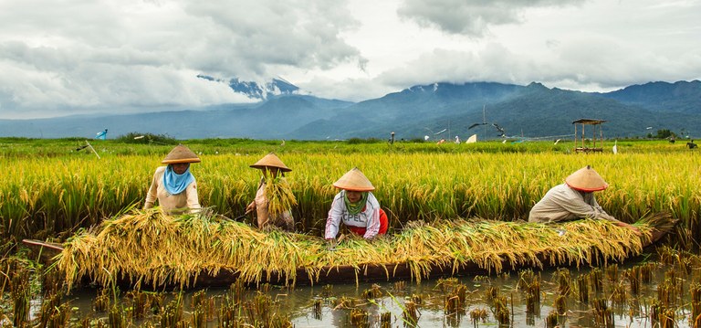 © 2014 Aji Styawan/MATA SPC, Courtesy of Photoshare