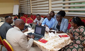 DRC Data Use Assessment Participant Group
