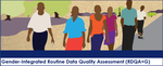 Gender-Integrated Routine Data Quality Assessment (RDQA+G) Tool