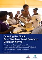 Opening the Black Box of Maternal and Newborn Deaths in Kenya: A Report on Technical Support for Implementation of Maternal and Perinatal Death Surveillance and Response